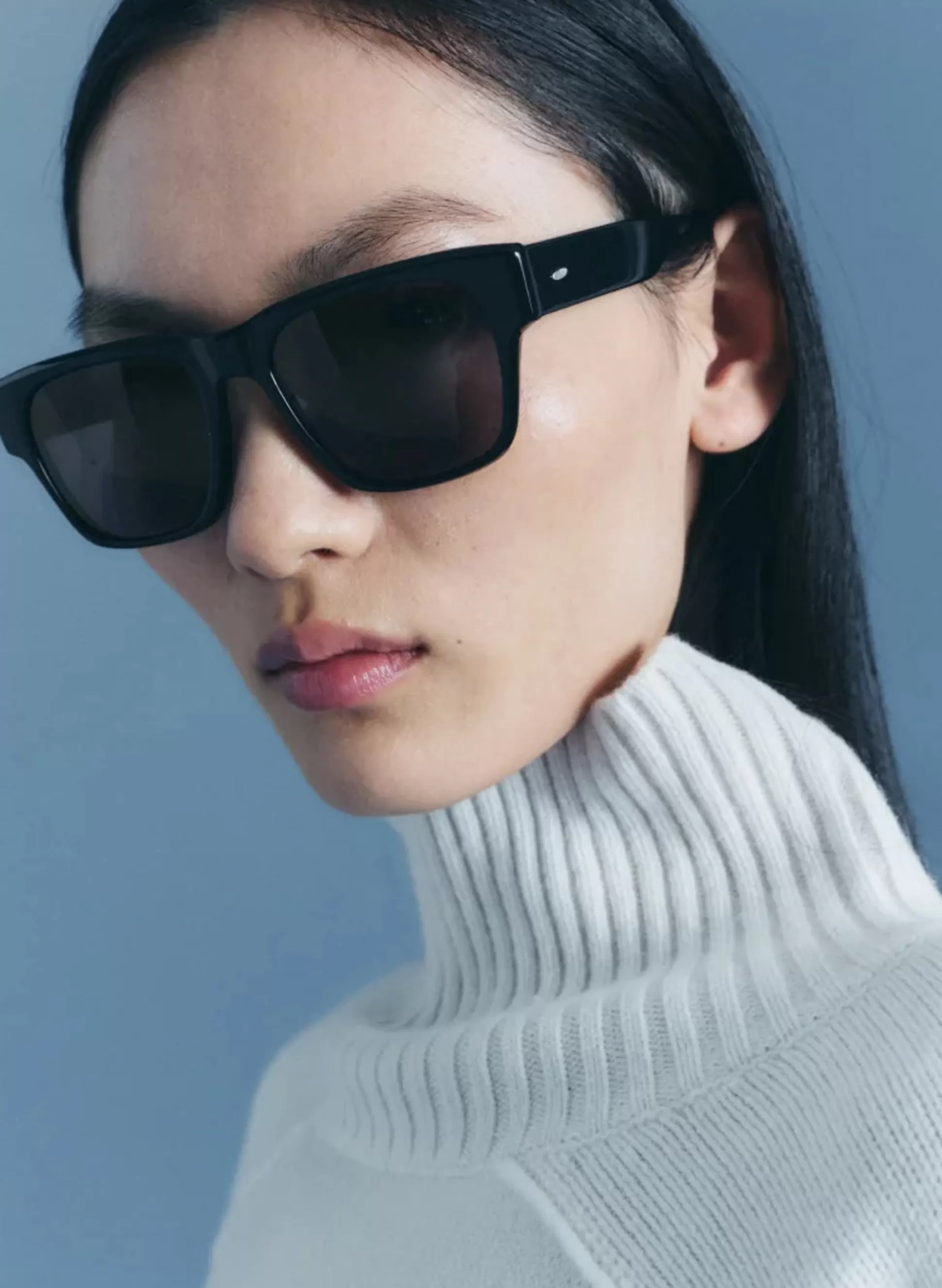 Sunglasses | Accessories>A.L.C. Aikau Sunglasses Black/Espresso